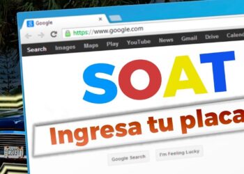 Consulta SOAT por placa