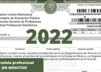 Consulta cedula profesional