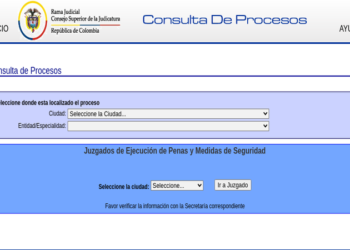 Consulta de Procesos