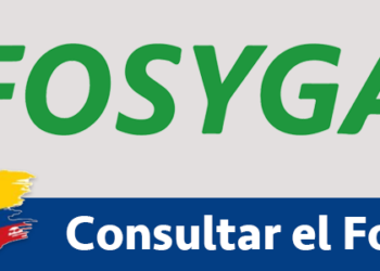Fosyga consulta